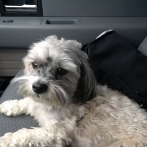 Meet your Posher, Scott